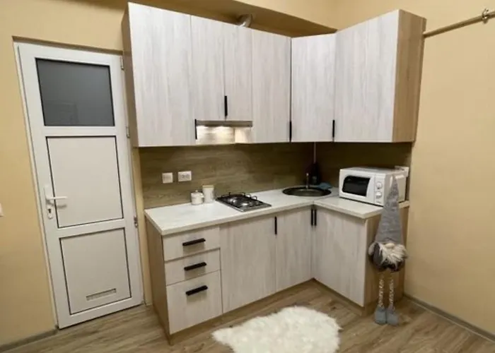 смарт-квартира 5хв до центрального вокзалу Apartment Lemberg